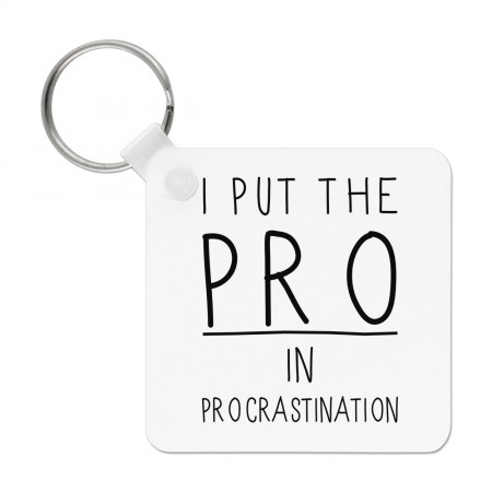 I Put The Pro In Procrastination Keyring Key Chain