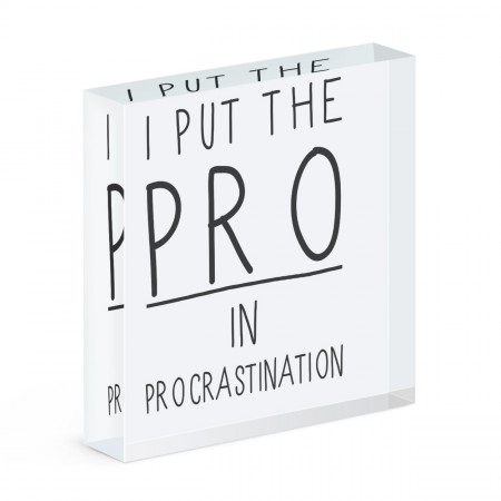 I Put The Pro In Procrastination Acrylic Block