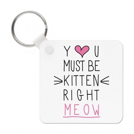 You Must Be Kitten Right Meow Keyring Key Chain