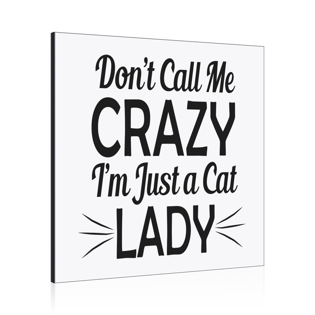 Don't Call Me Crazy I'm Just A Cat Lady Wall Art Panel