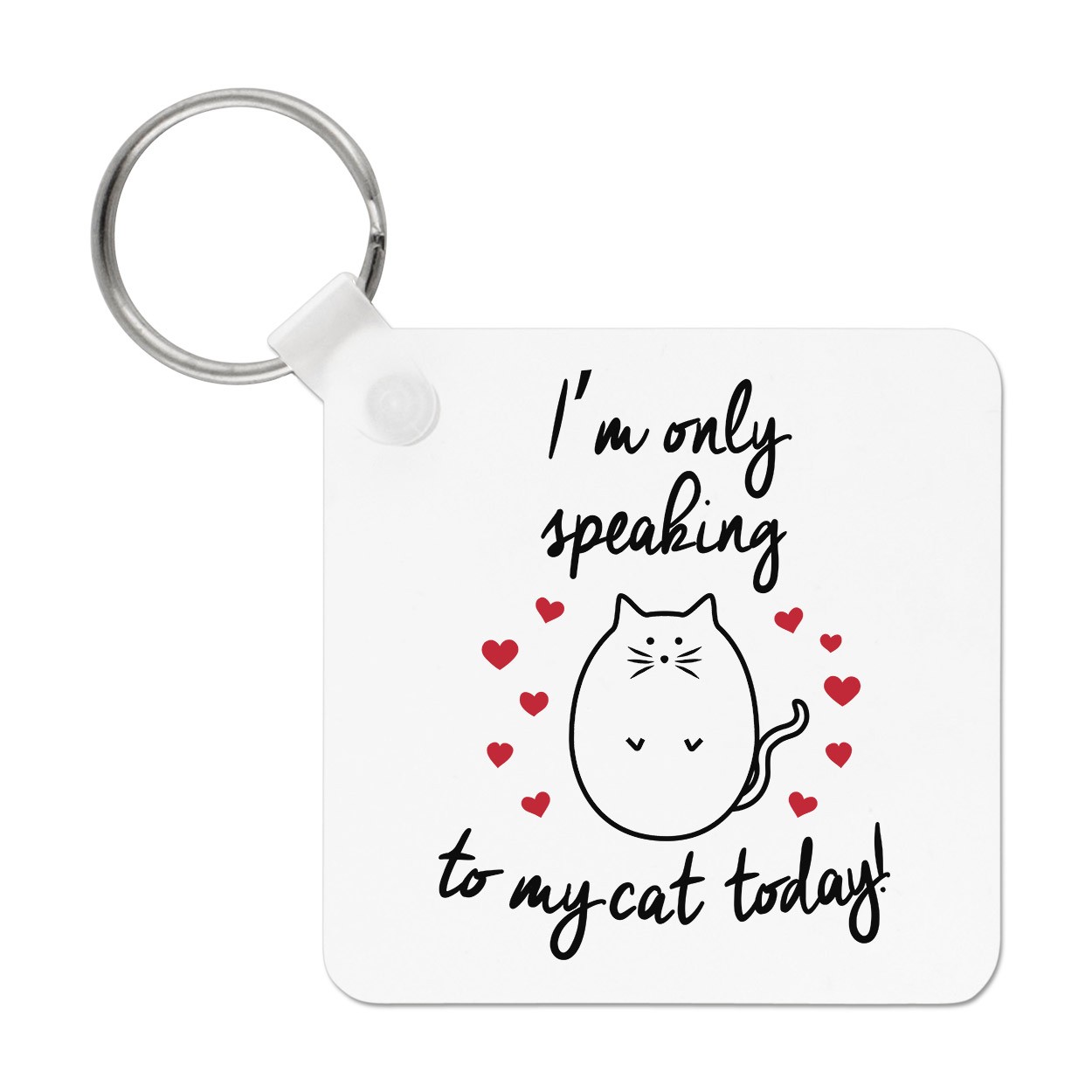 I'm Only Speaking To My Cat Today Keyring Key Chain