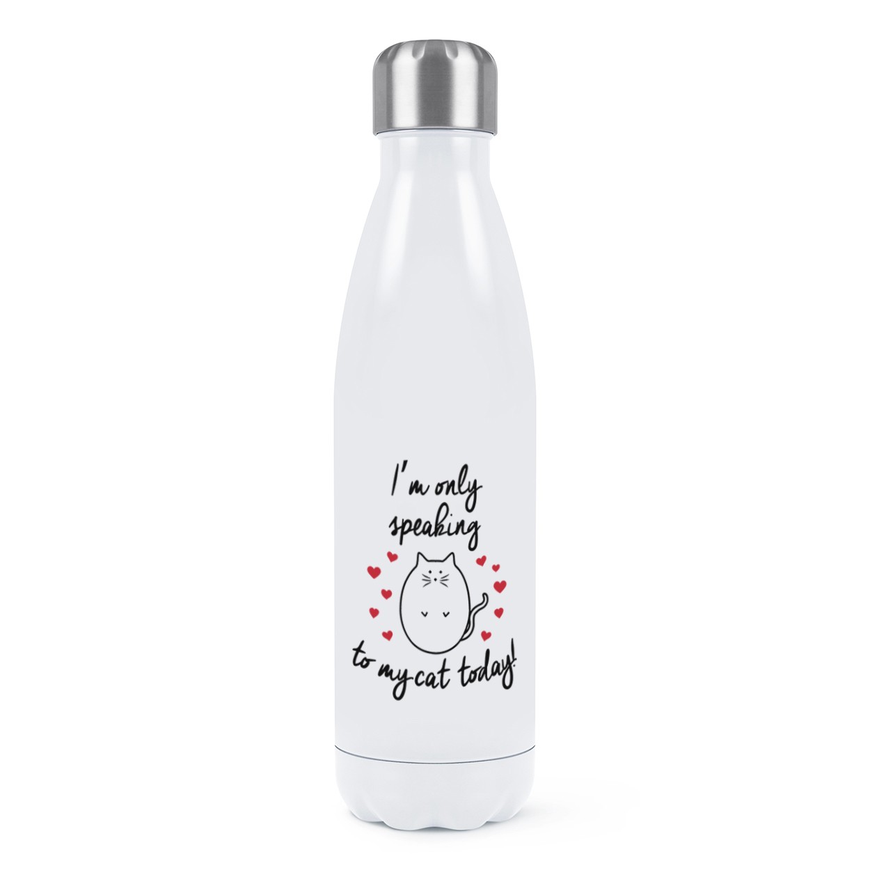 I'm Only Speaking To My Cat Today Double Wall Water Bottle