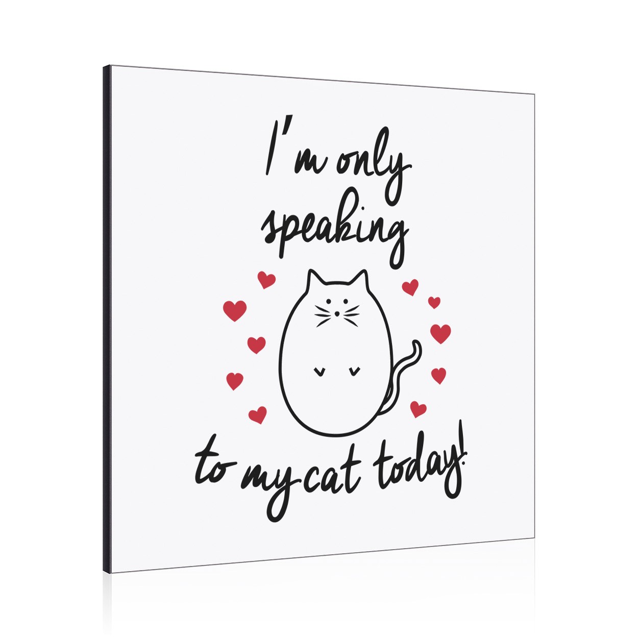 I'm Only Speaking To My Cat Today Wall Art Panel