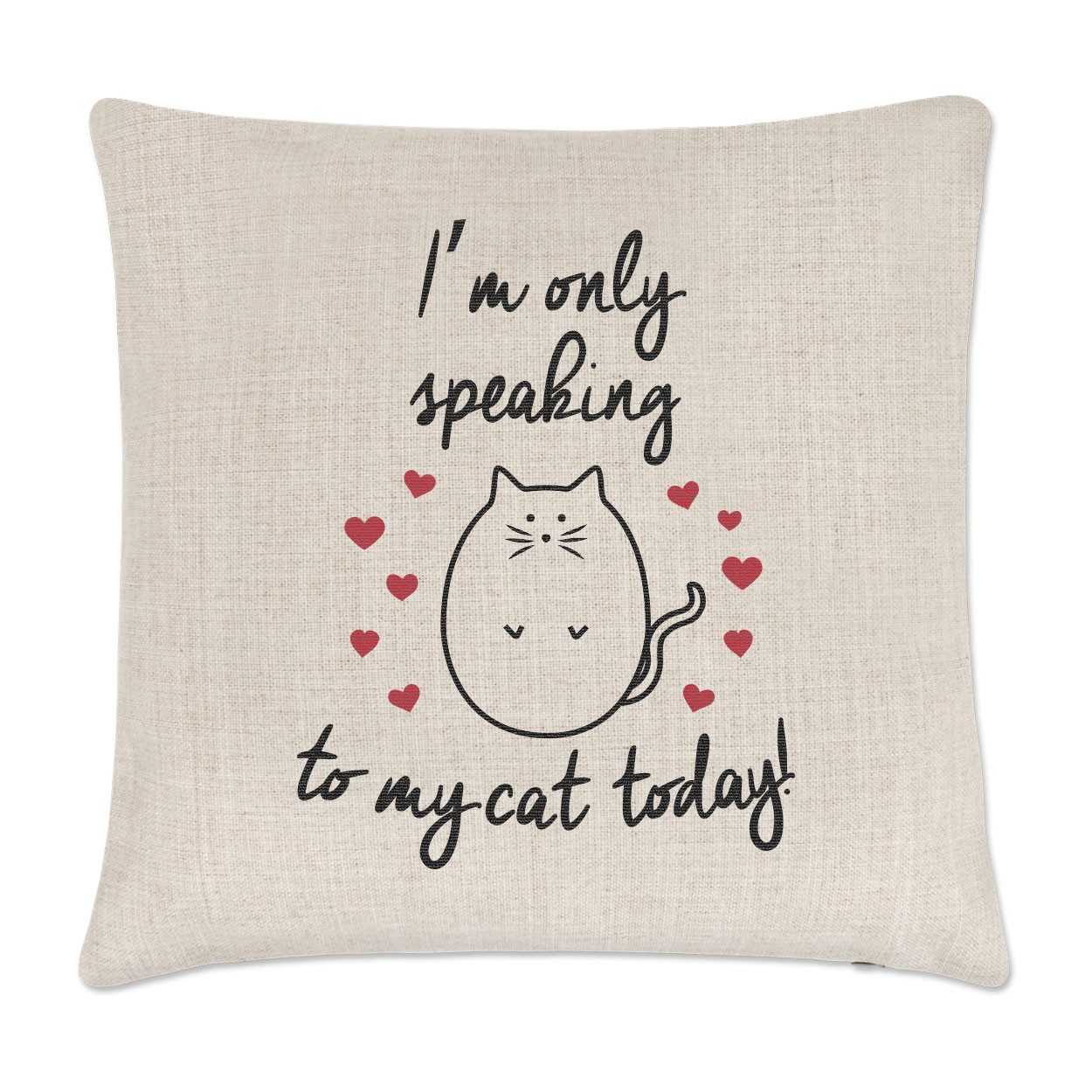 I'm Only Speaking To My Cat Today Linen Cushion Cover