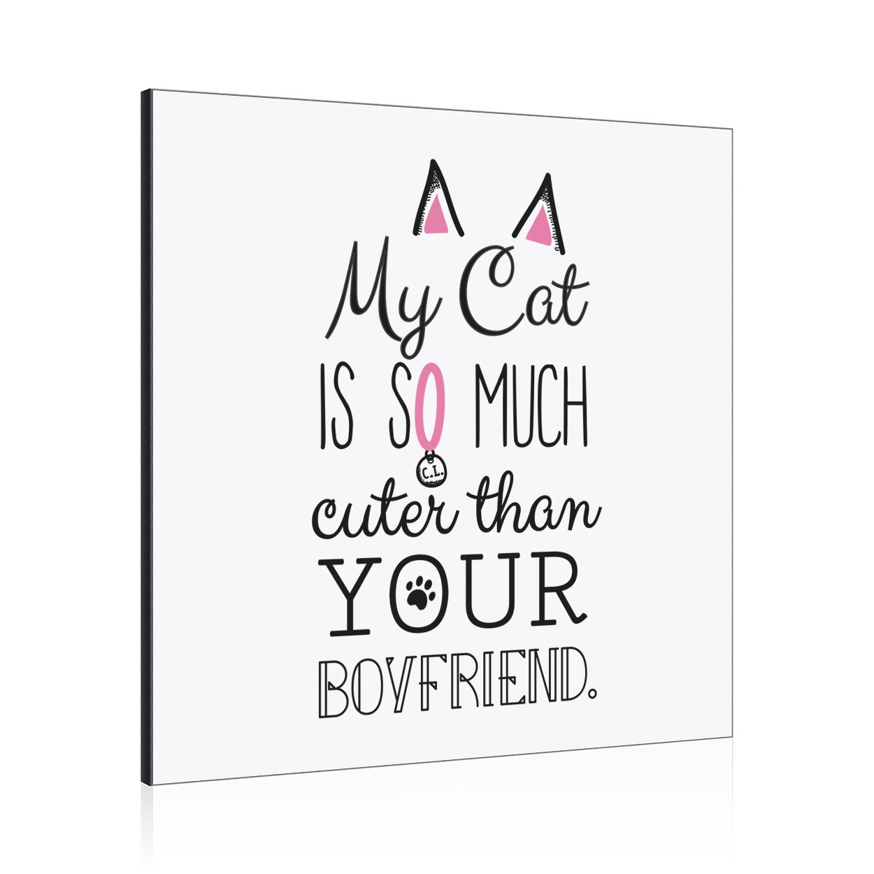 My Cat Is So Much Cuter Than Your Boyfriend Wall Art Panel