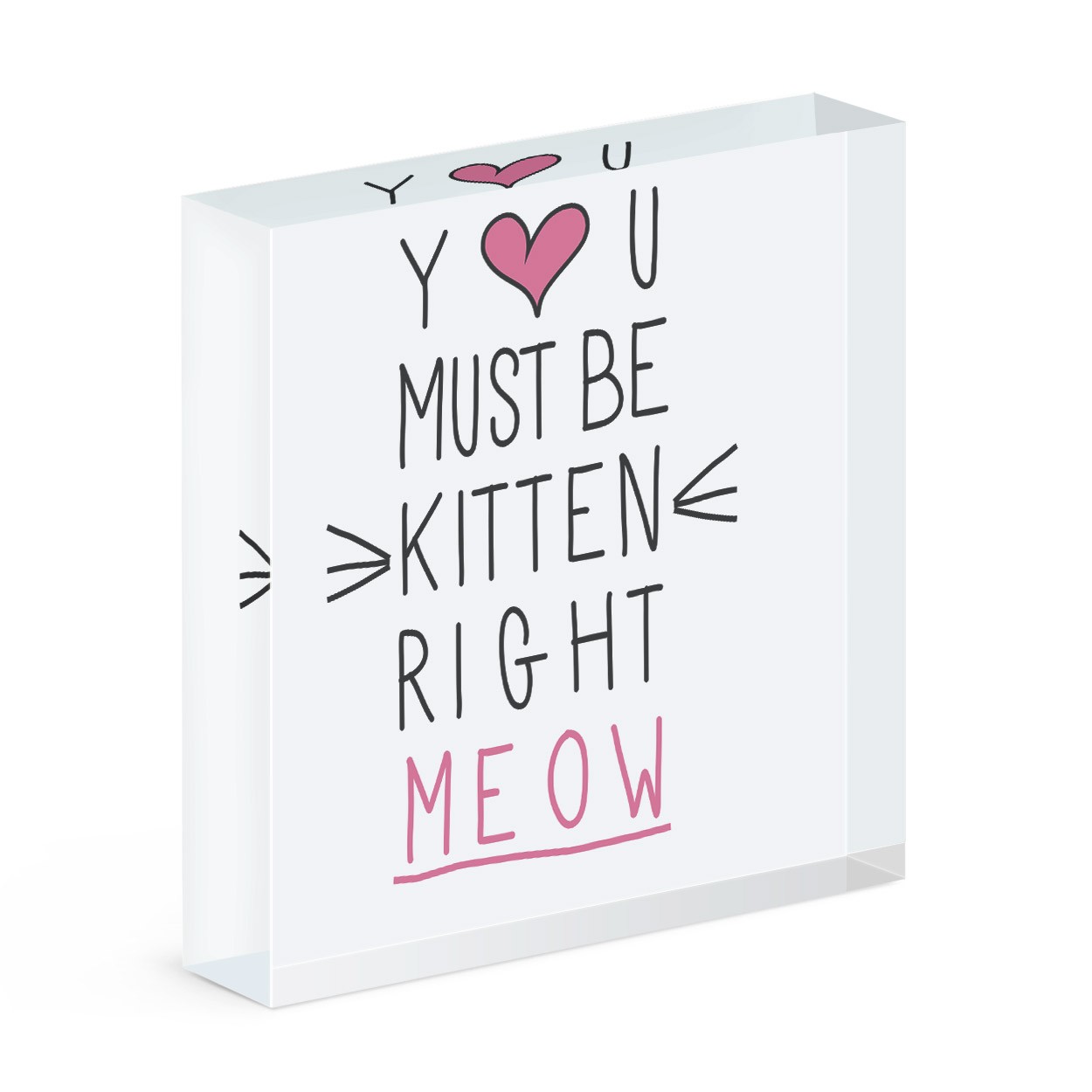 You Must Be Kitten Right Meow Acrylic Block