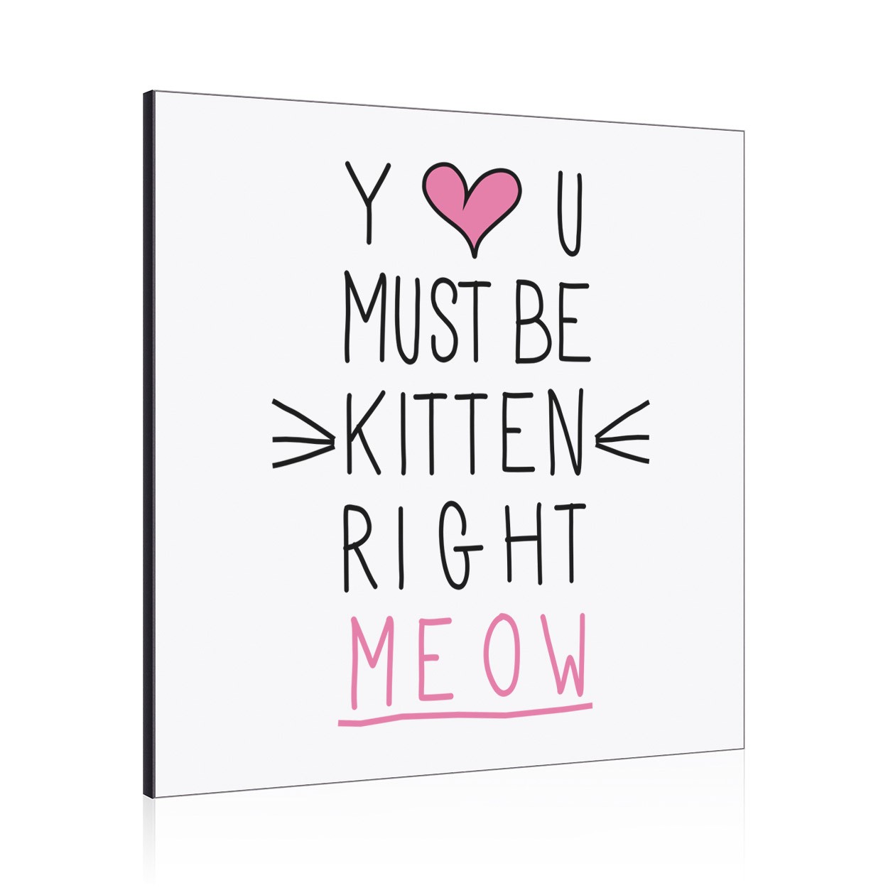 You Must Be Kitten Right Meow Wall Art Panel