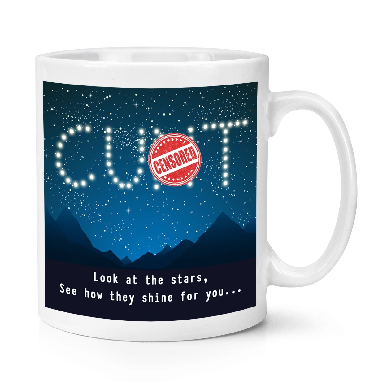 Look At The Stars See How They Shine For You C-NT 10oz Mug Cup Joke Rude Birthday